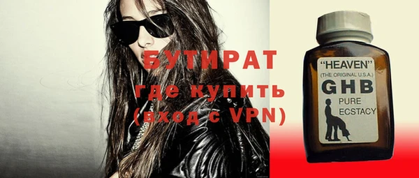 индика Инта