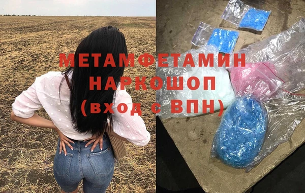 индика Инта