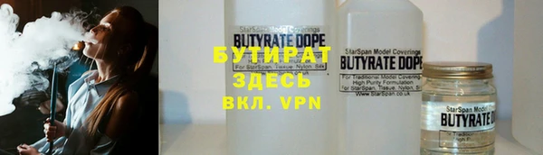 индика Инта