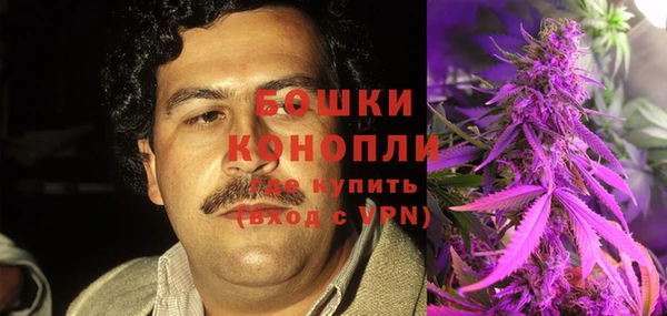 PSILOCYBIN Иннополис