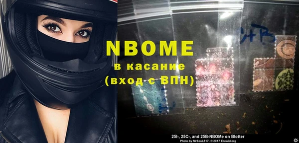 индика Инта