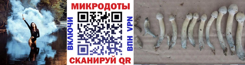 Купить где  Можга  Псилоцибиновые грибы Magic Shrooms 